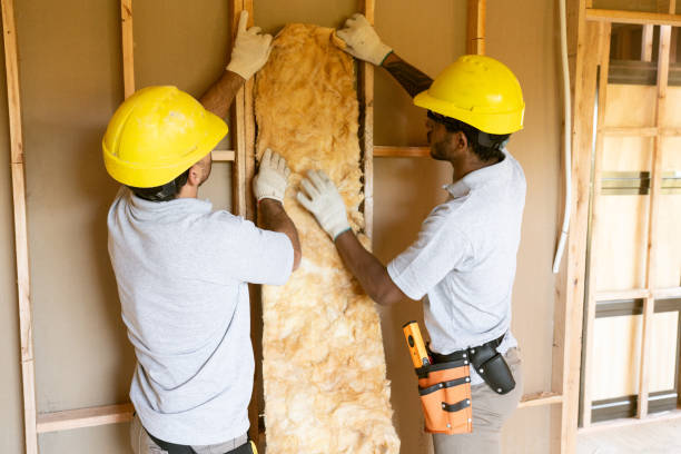 Best Professional Insulation Contractor  in Blairsville, PA
